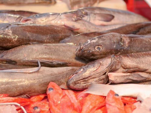 Ryby: czy warto je jeść?