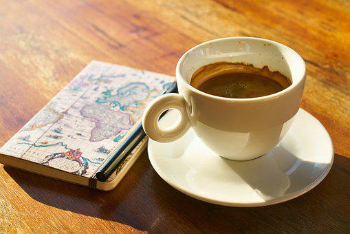 Cykoria zamiast kawy – właściwości, uprawa i działanie